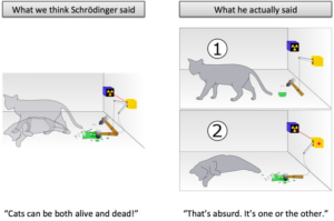 Learning Gotcha: How We Misunderstood Schrödinger's Cat