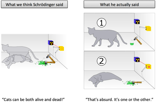 Schrödinger's cat - Wikipedia