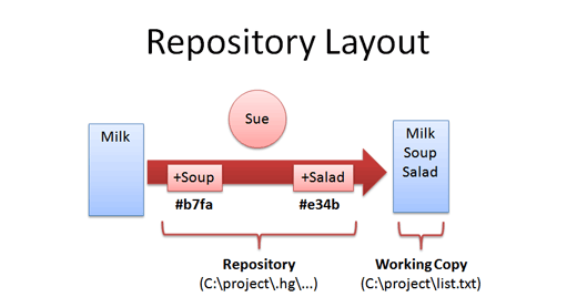 distributed version control repo layout